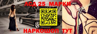 гидропоника Можга