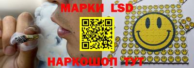 гидропоника Можга