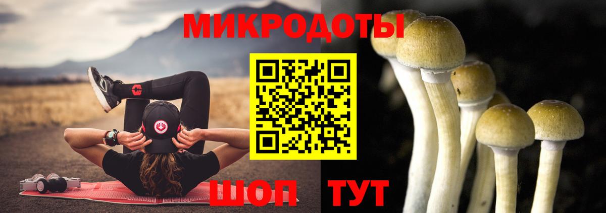 Улан-Удэ  Псилоцибиновые грибы MAGIC MUSHROOMS  Псилоцибиновые грибы ЛСД  Вход с VPN 